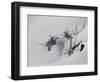 Digital Art Goldenrod Remains In Snow-Anthony Paladino-Framed Giclee Print