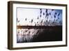 Digital art phragmites in blue sky sunset-Anthony Paladino-Framed Giclee Print