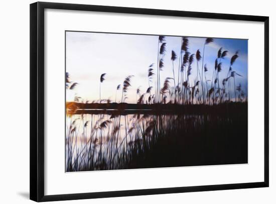 Digital art phragmites in blue sky sunset-Anthony Paladino-Framed Giclee Print