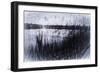 Digital art phragmites in gray pencil sketch-Anthony Paladino-Framed Giclee Print