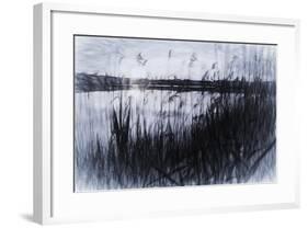 Digital art phragmites in gray pencil sketch-Anthony Paladino-Framed Giclee Print