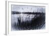 Digital art phragmites in gray pencil sketch-Anthony Paladino-Framed Giclee Print