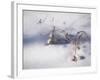 Digital Art Reminiscence Of Plants In Snow-Anthony Paladino-Framed Giclee Print