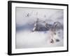 Digital Art Reminiscence Of Plants In Snow-Anthony Paladino-Framed Giclee Print