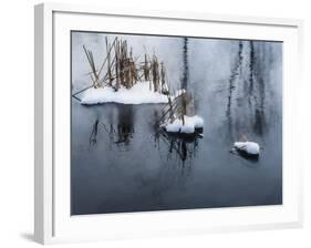 Digital Art Snow And Reeds Icy Pond-Anthony Paladino-Framed Giclee Print