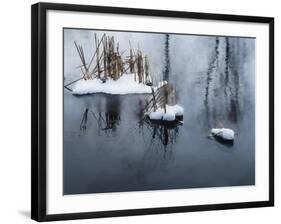 Digital Art Snow And Reeds Icy Pond-Anthony Paladino-Framed Giclee Print