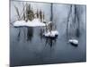 Digital Art Snow And Reeds Icy Pond-Anthony Paladino-Mounted Giclee Print