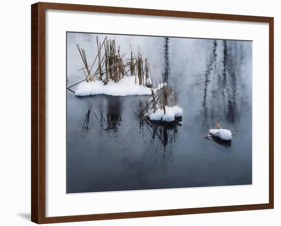 Digital Art Snow And Reeds Icy Pond-Anthony Paladino-Framed Giclee Print