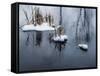 Digital Art Snow And Reeds Icy Pond-Anthony Paladino-Framed Stretched Canvas