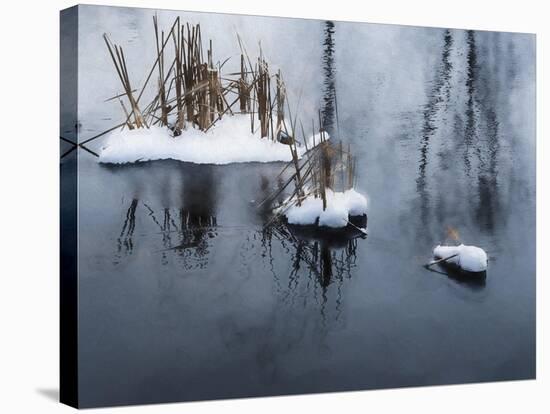 Digital Art Snow And Reeds Icy Pond-Anthony Paladino-Stretched Canvas