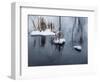 Digital Art Snow And Reeds Icy Pond-Anthony Paladino-Framed Giclee Print