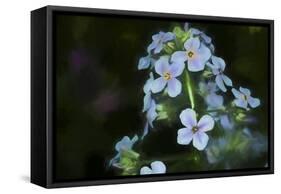 Digital art wild cyan and purple flowers-Anthony Paladino-Framed Stretched Canvas