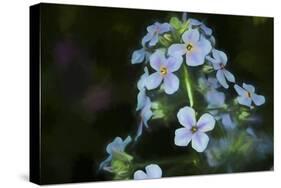 Digital art wild cyan and purple flowers-Anthony Paladino-Stretched Canvas