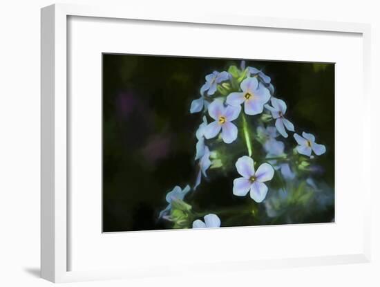 Digital art wild cyan and purple flowers-Anthony Paladino-Framed Giclee Print
