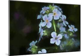 Digital art wild cyan and purple flowers-Anthony Paladino-Mounted Giclee Print