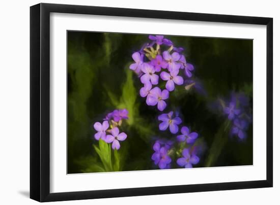 Digital art wild purple flowers-Anthony Paladino-Framed Giclee Print