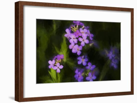 Digital art wild purple flowers-Anthony Paladino-Framed Giclee Print