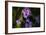 Digital art wild purple flowers-Anthony Paladino-Framed Giclee Print