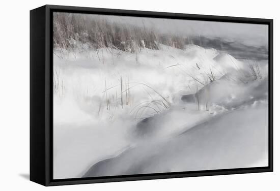 Digital Art Winter Landscape Monochromatic-Anthony Paladino-Framed Stretched Canvas