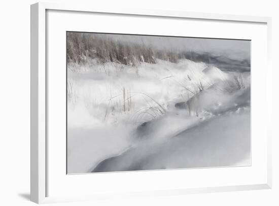 Digital Art Winter Landscape Monochromatic-Anthony Paladino-Framed Giclee Print