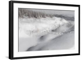 Digital Art Winter Landscape Monochromatic-Anthony Paladino-Framed Giclee Print