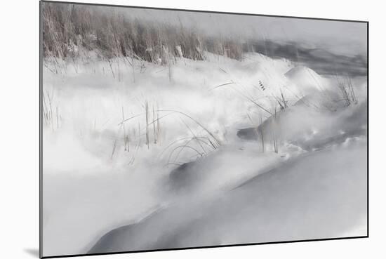 Digital Art Winter Landscape Monochromatic-Anthony Paladino-Mounted Giclee Print