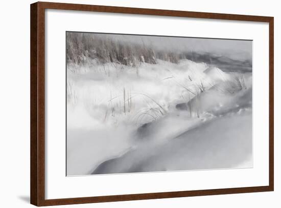 Digital Art Winter Landscape Monochromatic-Anthony Paladino-Framed Giclee Print