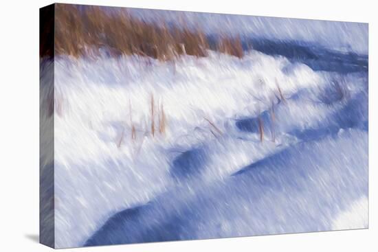 Digital Art Winter Little Snow Mounds-Anthony Paladino-Stretched Canvas