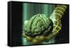 Digital Brain-Laguna Design-Framed Stretched Canvas