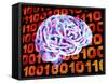 Digital Brain-PASIEKA-Framed Stretched Canvas