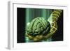 Digital Brain-Laguna Design-Framed Photographic Print