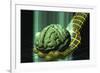 Digital Brain-Laguna Design-Framed Photographic Print