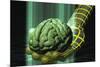 Digital Brain-Laguna Design-Mounted Photographic Print