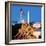 Digital Composite, Iwo Jima Memorial with Washington Monument in the Background, Arlington Natio...-null-Framed Photographic Print