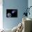 Digital Composite of a Comet Heading Towards Earth-Stocktrek Images-Stretched Canvas displayed on a wall