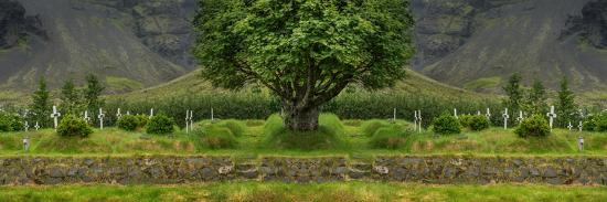 Premium Photographic Print, , large