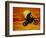 Digital Composite of Motocross Racer Doing Jump-Steve Satushek-Framed Photographic Print