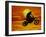 Digital Composite of Motocross Racer Doing Jump-Steve Satushek-Framed Photographic Print