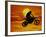 Digital Composite of Motocross Racer Doing Jump-Steve Satushek-Framed Photographic Print