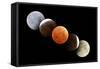 Digital Composite of Total Lunar Eclipse-null-Framed Stretched Canvas