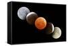 Digital Composite of Total Lunar Eclipse-null-Framed Stretched Canvas