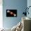 Digital Composite of Total Lunar Eclipse-null-Photographic Print displayed on a wall