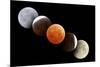 Digital Composite of Total Lunar Eclipse-null-Mounted Photographic Print