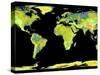 Digital Elevation Model of the Continents on Earth-null-Stretched Canvas