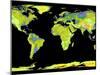 Digital Elevation Model of the Continents on Earth-null-Mounted Photographic Print