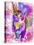 Digital Kitten-Ata Alishahi-Stretched Canvas