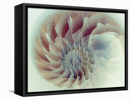 Digital Nautilus-null-Framed Stretched Canvas