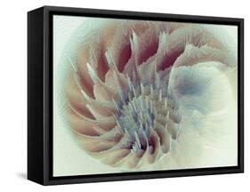 Digital Nautilus-null-Framed Stretched Canvas