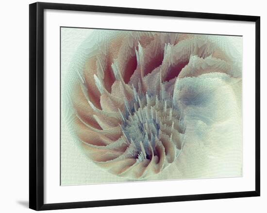 Digital Nautilus-null-Framed Art Print