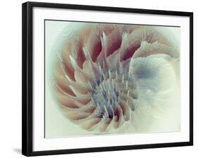 Digital Nautilus-null-Framed Art Print